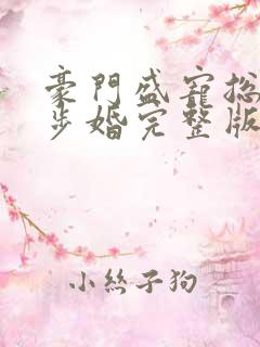 豪门盛宠总裁步步婚完整版