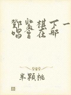 邓紫棋下一场演唱会在哪