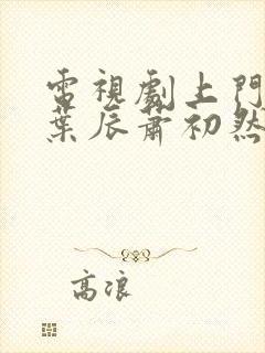 电视剧上门龙婿叶辰萧初然