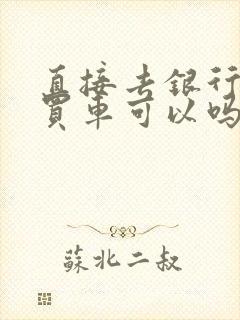 直接去银行贷款买车可以吗