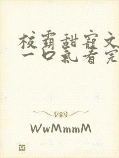 校霸甜宠文小说一口气看完