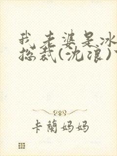 我老婆是冰山·总裁(沈浪)下载全文
