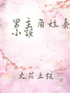 男主角姓秦全部小说