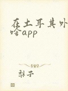 在土耳其外卖用啥app