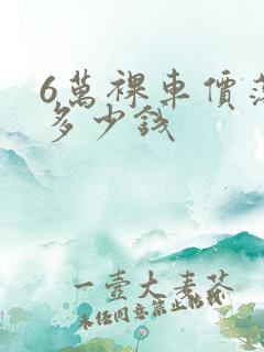 6万裸车价落地多少钱