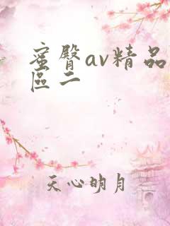 蜜臀av精品一区二