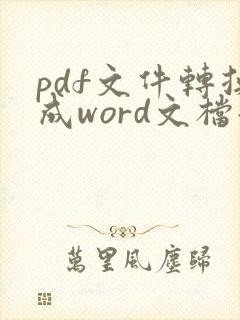 pdf文件转换成word文档后怎么编辑