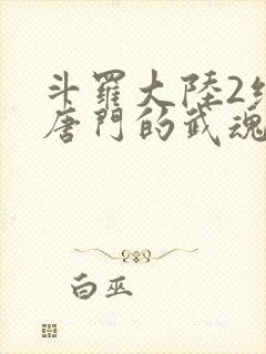 斗罗大陆2绝世唐门的武魂