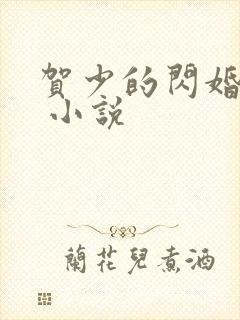 贺少的闪婚暖妻 小说