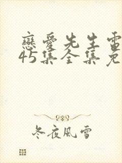 恋爱先生电视剧45集全集免费播放