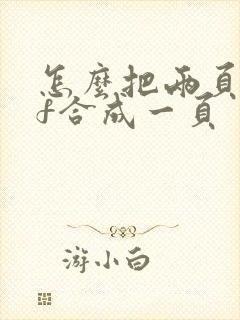 怎么把两页pdf合成一页