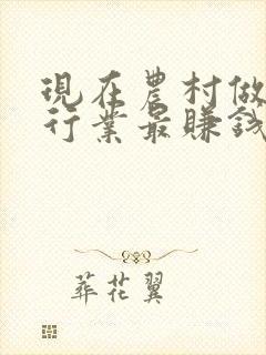 现在农村做什么行业最赚钱最稳