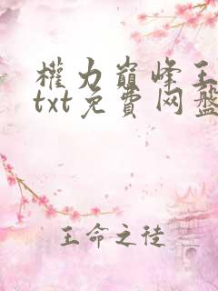权力巅峰王洪涛txt免费网盘