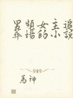 男频女主追夫火葬场的小说