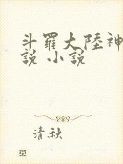 斗罗大陆神界传说 小说