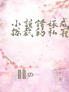 小说错嫁成婚:总裁的私宠甜妻