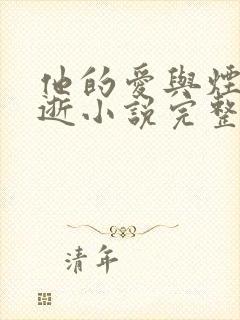 他的爱与烟火同逝小说完整版
