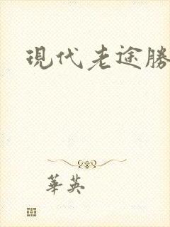 现代老途胜报价