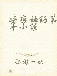 暗恋她的第十一年小说