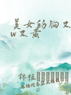 美女的胸又www又黄