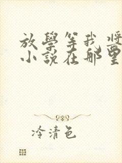 放学等我酱子贝小说在那里更新