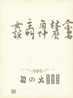 女主角林念的小说叫什么名