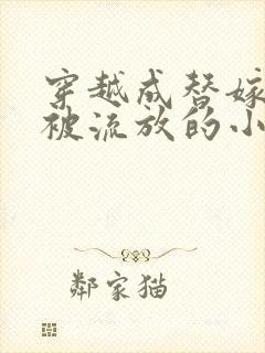 穿越成替嫁新娘被流放的小说