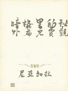 暗格里的秘密番外篇免费观看电视剧