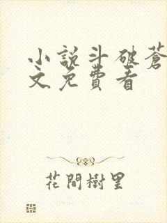 小说斗破苍穹全文免费看