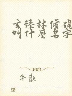 玄臻林修砚小说叫什么名字