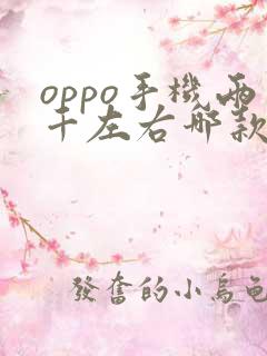 oppo手机两千左右哪款性价比高