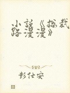 小说《总裁追妻路漫漫》