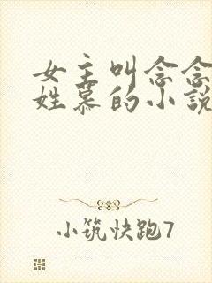 女主叫念念男主姓慕的小说