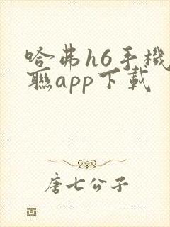 哈弗h6手机互联app下载