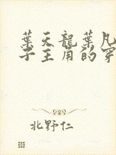 叶天龙叶凡九皇子主角的穿越小说免费阅读