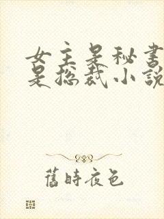 女主是秘书男主是总裁小说