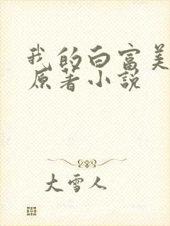 我的白富美老婆原著小说