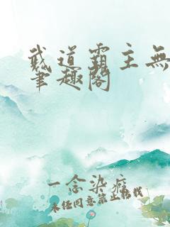 武道霸主无弹窗笔趣阁