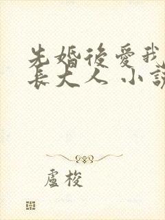 先婚后爱我的市长大人 小说