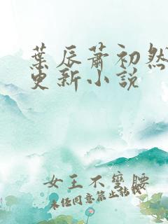 叶辰萧初然最快更新小说
