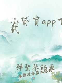 小贷宝app下载