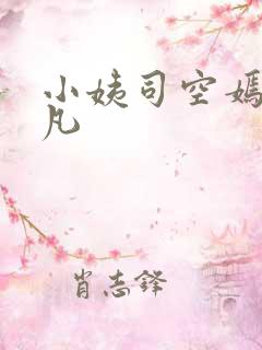小姨司空嫣然叶凡