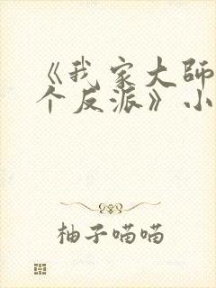 《我家大师兄是个反派》小说