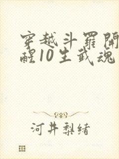 穿越斗罗开局觉醒10生武魂