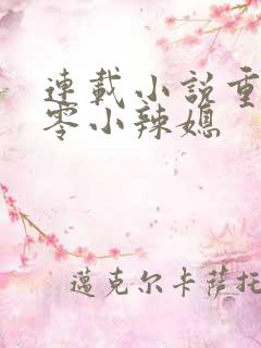 连载小说重生七零小辣媳