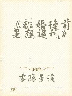 《离婚后前夫总是想追我》