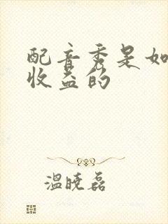 配音秀是如何赚收益的