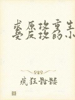 求原攻重生被原受反攻的小说