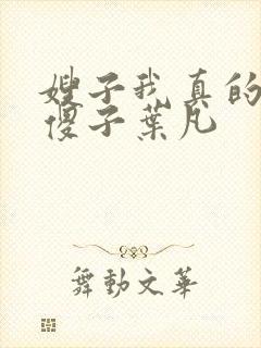 嫂子我真的不是傻子叶凡