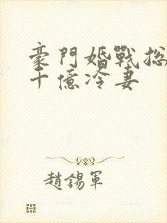 豪门婚战总裁的千亿冷妻